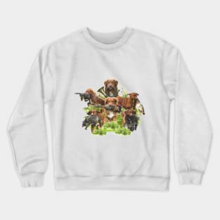 Nova Scotia Duck Tolling Retriever Crewneck Sweatshirt